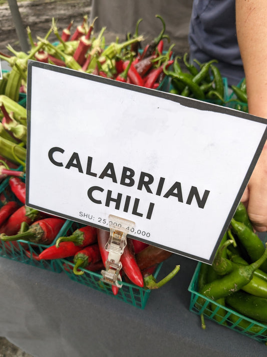 Calabrian Peppers