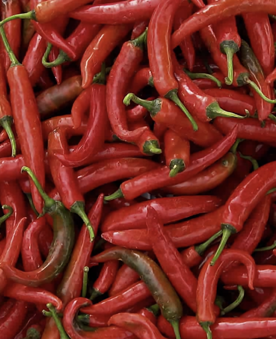 Thai Chili Peppers